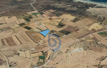 Akdeniz Köyünde Sahile Yürüme Mesafesinde Fırsat Arazi