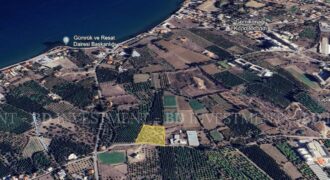 Denize 500 Metre Mesafede 5956 m² Fırsat Arsa