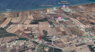 Whether You Build a Villa or a Complete Building in Gaziveren - 1.212 m² Opportunity Land