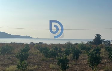 CENGİZKÖY’de FASIL – 96 YATIRIMLIK 9282 m² ARSA