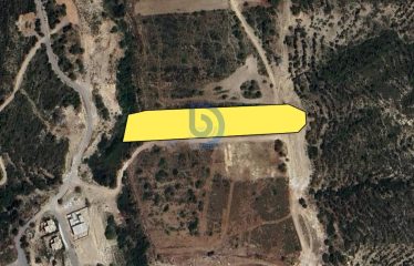 Yatırım İçin Mükemmel Fırsat ! Çatalköy’de 7.025 m² Arazi