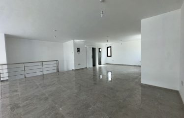 HASPOLAT’TA SATILIK GENİŞ VİTRİNE SAHİP SENDE KATLI DÜKKAN – 205 m²