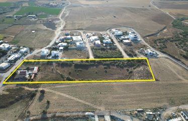 Haspolat Merkezinde 10.972 m² Yatırımlık Arazi ve İçinde Müstakil Ev