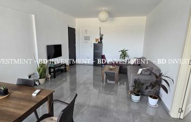 LEFKOŞA ORTAKÖY’DE LÜKS 2+1 KİRALIK DAİRELER – KONFORLU VE MERKEZİ YAŞAM