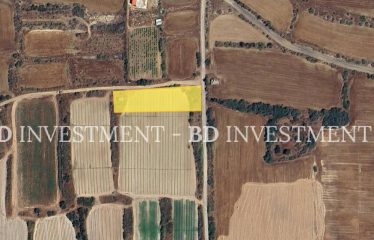 Yayla’da Denize 1 Km Mesafede 1797 m² Arsa
