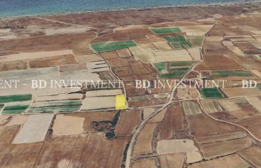Yayla’da Denize 1 Km Mesafede 1797 m² Arsa