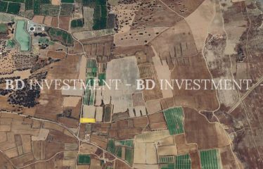 Yayla’da Denize 1 Km Mesafede 1797 m² Arsa