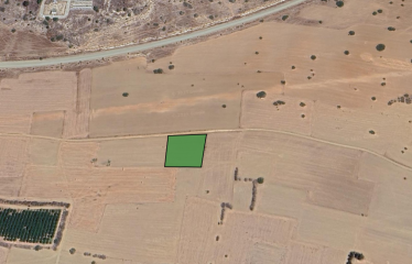 Kalkanlı’da Yatırım Fırsatı 3301 m² Tarla
