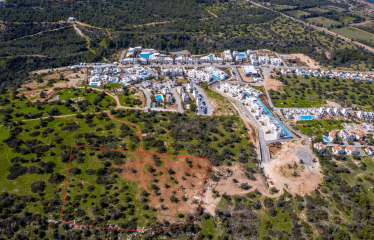 🌴 Özel Havuzlu Lüks Villalar – Doğa İçinde Yaşam