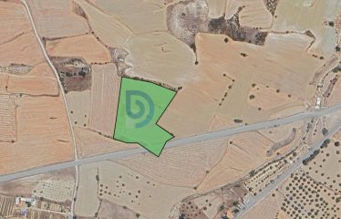 Şirinevler’de İster Konut İster Ticari İmarlı 14.579 m² Fırsat Arazi
