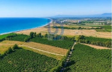 İster Yatırım,İster Yaşam İçin Denize 250 Metre Parsel Arsalar