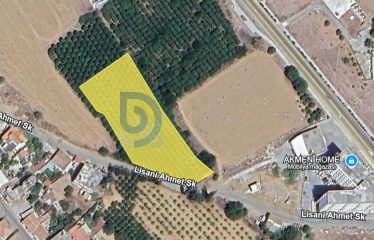 Güzelyurt Merkezde 5.276 m² Arazi