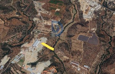 Çatalköy’de 5.965 m² Tarla