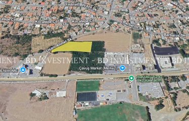 Güzelyurt Merkezde 5.276 m² Arazi
