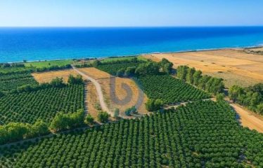 İster Yatırım,İster Yaşam İçin Denize 250 Metre Parsel Arsalar