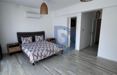 Girne Zeytinlikte Kaçırılmayacak Fırsat 3+1 İkiz Villa