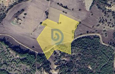 Karaağaç’da Yatırım İçin Fırsat Arazi 20.757 m²