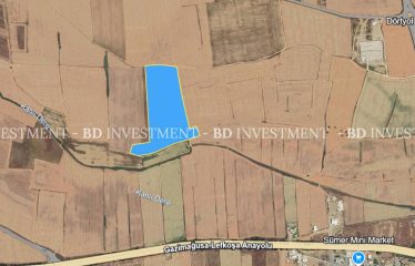 Dörtyol’da Anayola 400 Metre Mesafede 56.531 m²