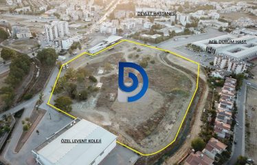 Ortaköy Merkezinde Yüksek Ticari Potansiyelli Yatırım Fırsatı 34.974 m² Arazi