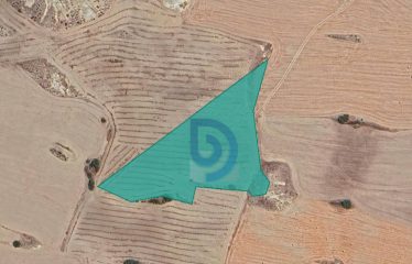 Kılıçaslan’da İster Yatırım İçin, İster Tarım İçin 11.038 m² Tarla