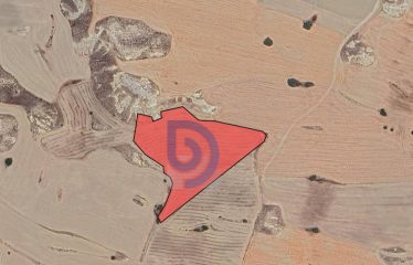 Kılıçaslan’da İster Yatırım İçin, İster Tarım İçin 16.056 m² Tarla