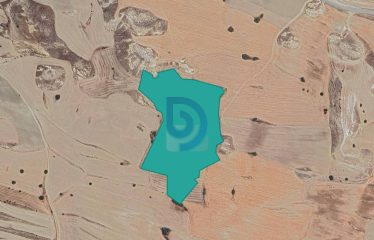 Kılıçaslan’da Yatırım veya Tarım İçin 41.766 m² Tarla