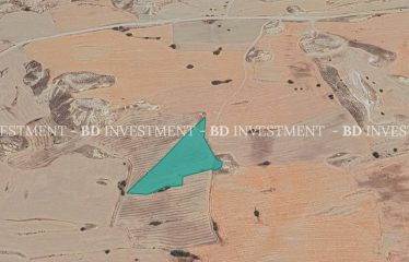 Kılıçaslan’da İster Yatırım İçin, İster Tarım İçin 11.038 m² Tarla