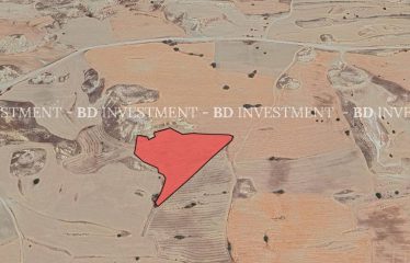 Kılıçaslan’da İster Yatırım İçin, İster Tarım İçin 16.056 m² Tarla