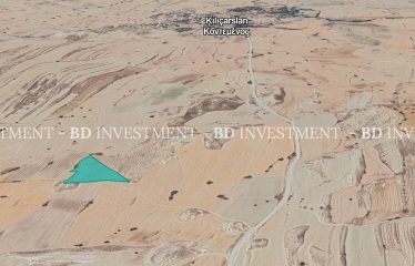 Kılıçaslan’da İster Yatırım İçin, İster Tarım İçin 11.038 m² Tarla