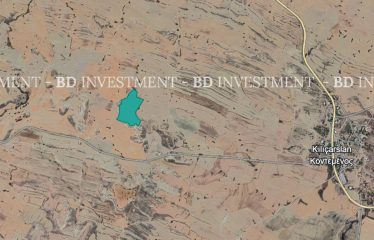 Kılıçaslan’da Yatırım veya Tarım İçin 41.766 m² Tarla