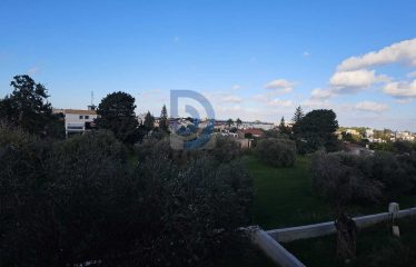 Girne Edremit Satılık Ultra Lüks Villa