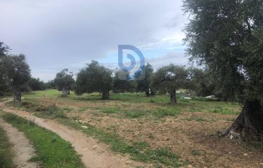 Tatlısu’da Özel Villanız İçin Muhteşem Manzaralı Arsa