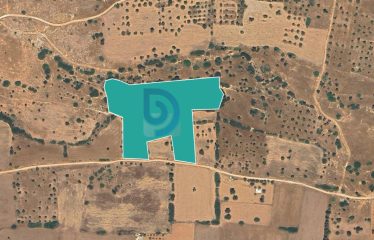 Kumyalı’da Denize 600 Metre Mesafede 20.951 m² Muhteşem Arazi