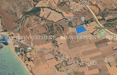 Kumyalı İskelesine 600 Metre Mesafede Muhteşem Manzaralı 11.671 m² Arsa