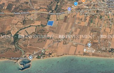 Kumyalı İskelesine 600 Metre Mesafede Muhteşem Manzaralı 11.671 m² Arsa