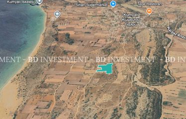 Kumyalı’da Denize 600 Metre Mesafede 20.951 m² Muhteşem Arazi