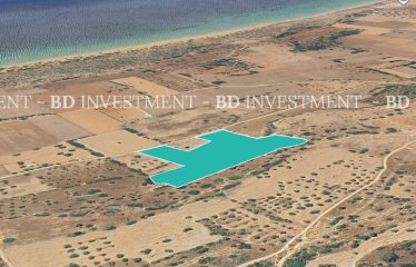 Kumyalı’da Denize 600 Metre Mesafede 20.951 m² Muhteşem Arazi