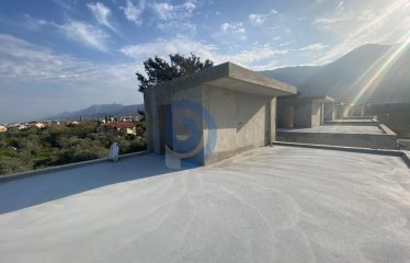 Lapta Özel Havuzlu Villalar