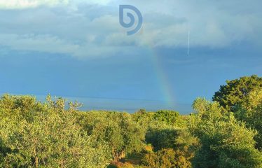 Tatlısu’da Özel Villanız İçin Muhteşem Manzaralı Arsa