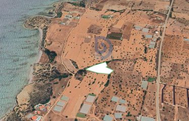 Tatlısu’da Yeni Projeler İçin Mükemmel Lokasyon