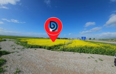 Lefkoşa/Güzelyurt Anayola Sıfır 2644 m² Ticari Arsa