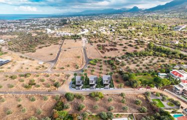 OZANKÖY TÜRK KOÇANLI ÖZEL PROJE