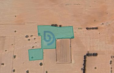 Kalkanlı’da Yatırım Fırsatı 9.514 m² Tarla