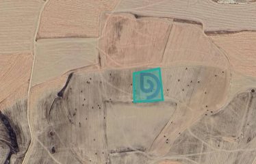 Kılıçaslan’da Küçük Bir Yatırım İçin Büyük Fırsat