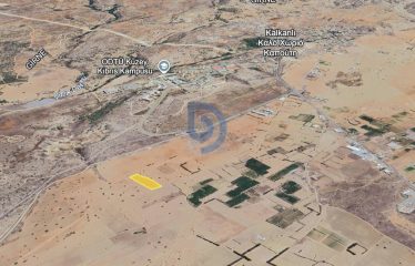 Kalkanlı’da Yatırım Fırsatı 8.550 m² Tarla