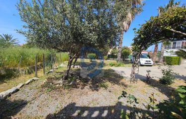 Yeşiltepe’de Acil Satılık 1804 m² Bahçe İçinde 3+1 Villa