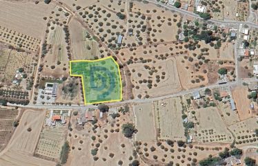 Şirinevler’de Su Kuyusu Bulunan 5586 m² Fırsat Arazi