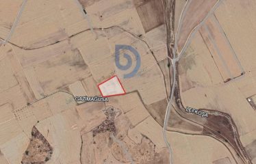 Gaziköy’de Yatırım İçin 7184 m² Tarla