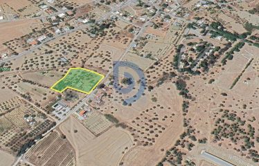 Şirinevler’de Su Kuyusu Bulunan 5586 m² Fırsat Arazi