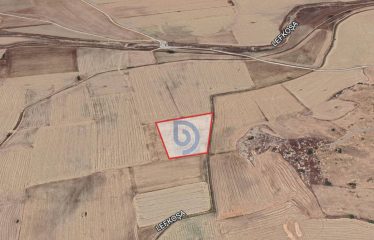 Gaziköy’de Yatırım İçin 7184 m² Tarla